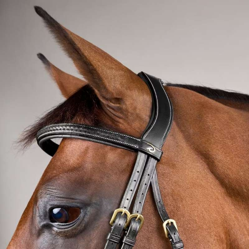 Bridle without Flash Plaited Dyon Collection Black