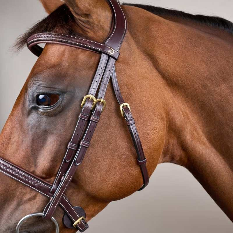 Bridle without Flash Plaited Dyon Collection Brown