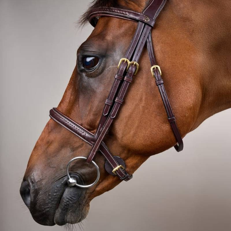 Bridle without Flash Plaited Dyon Collection Brown