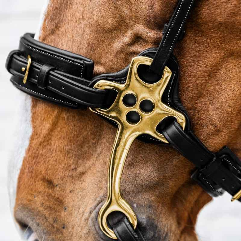 Hackamore Dyon Collection Black