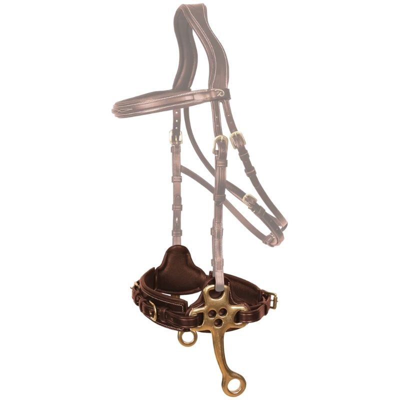 Hackamore Dyon Collection Brown