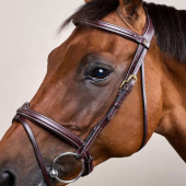 Flash Noseband Bridle Dyon Collection Brown Flash Noseband Bridle Dyon Collection Brown