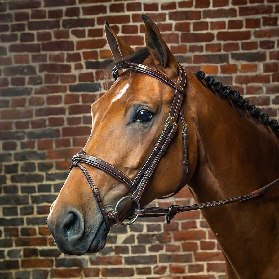Raised Combination Bridle DC Brown