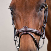 Raised Combination Bridle DC Brown Raised Combination Bridle DC Brown