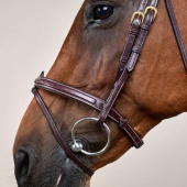 Raised Combination Bridle DC Brown Raised Combination Bridle DC Brown