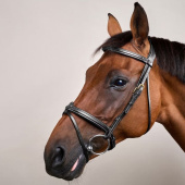 Raised Combination Bridle DC Black Raised Combination Bridle DC Black