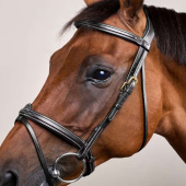 Flash Noseband Bridle Dyon Collection Black Flash Noseband Bridle Dyon Collection Black