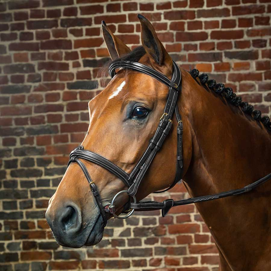 Raised Combination Bridle DC Black