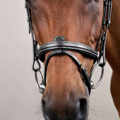 Raised Combination Bridle DC Black Raised Combination Bridle DC Black