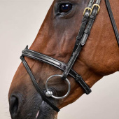 Raised Combination Bridle DC Black Raised Combination Bridle DC Black