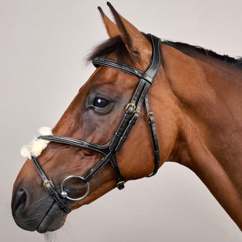 Figure 8 Noseband Bridle Dyon Collection Black