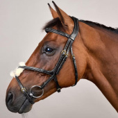 Figure 8 Noseband Bridle Dyon Collection Black Figure 8 Noseband Bridle Dyon Collection Black