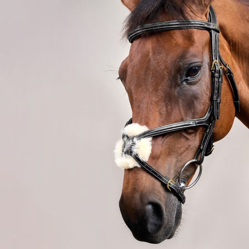 Figure 8 Noseband Bridle Dyon Collection Black