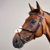 Figure 8 Noseband Bridle Dyon Collection Brown Figure 8 Noseband Bridle Dyon Collection Brown