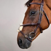 Figure 8 Noseband Bridle Dyon Collection Brown Figure 8 Noseband Bridle Dyon Collection Brown