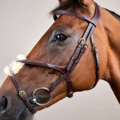 Figure 8 Noseband Bridle Dyon Collection Brown Figure 8 Noseband Bridle Dyon Collection Brown