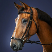Adjustable Drop Noseband Bridle Dyon Collection Black Adjustable Drop Noseband Bridle Dyon Collection Black