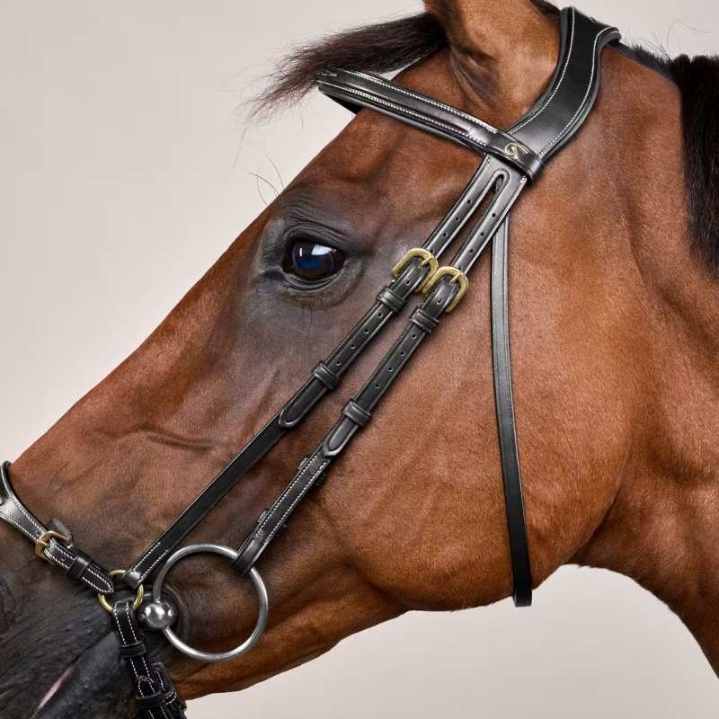 Adjustable Drop Noseband Bridle Dyon Collection Black
