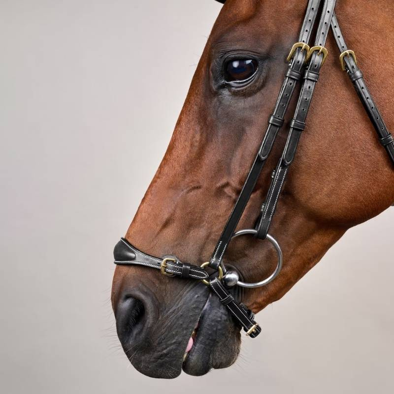 Adjustable Drop Noseband Bridle Dyon Collection Black