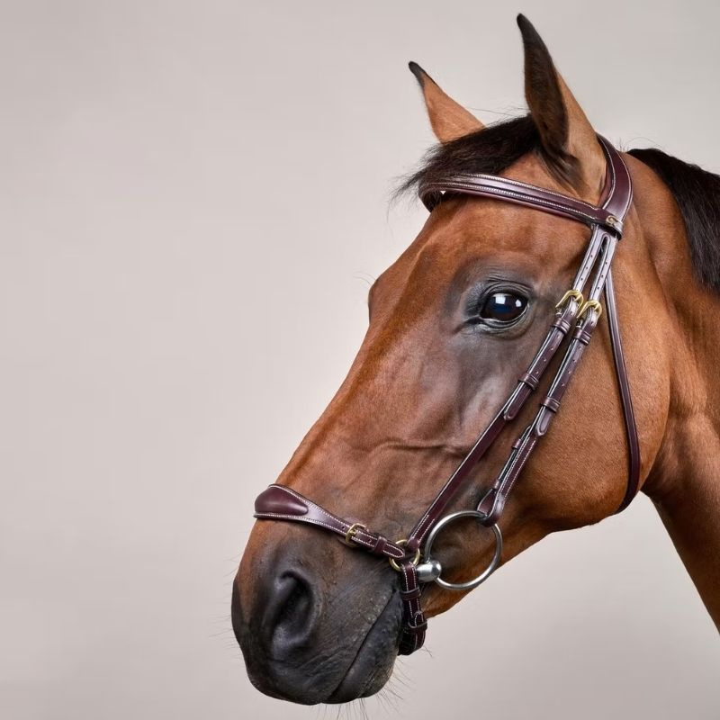 Adjustable Drop Noseband Bridle Dyon Collection Brown