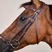 Adjustable Drop Noseband Bridle Dyon Collection Brown Adjustable Drop Noseband Bridle Dyon Collection Brown