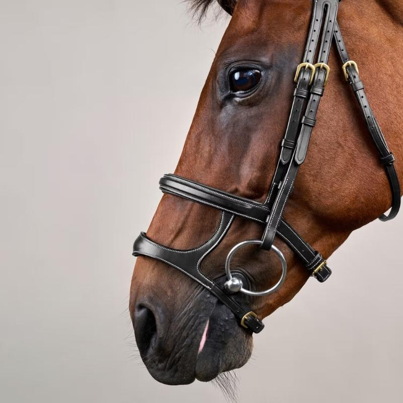 Double Noseband Bridle Dyon Collection Black
