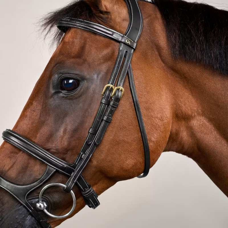 Double Noseband Bridle Dyon Collection Black