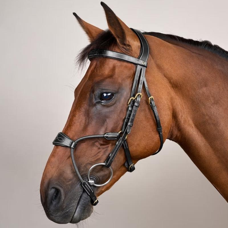 Bridle Elastic Hybrid Dyon Collection Black