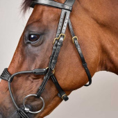 Bridle Elastic Hybrid Dyon Collection Black Bridle Elastic Hybrid Dyon Collection Black