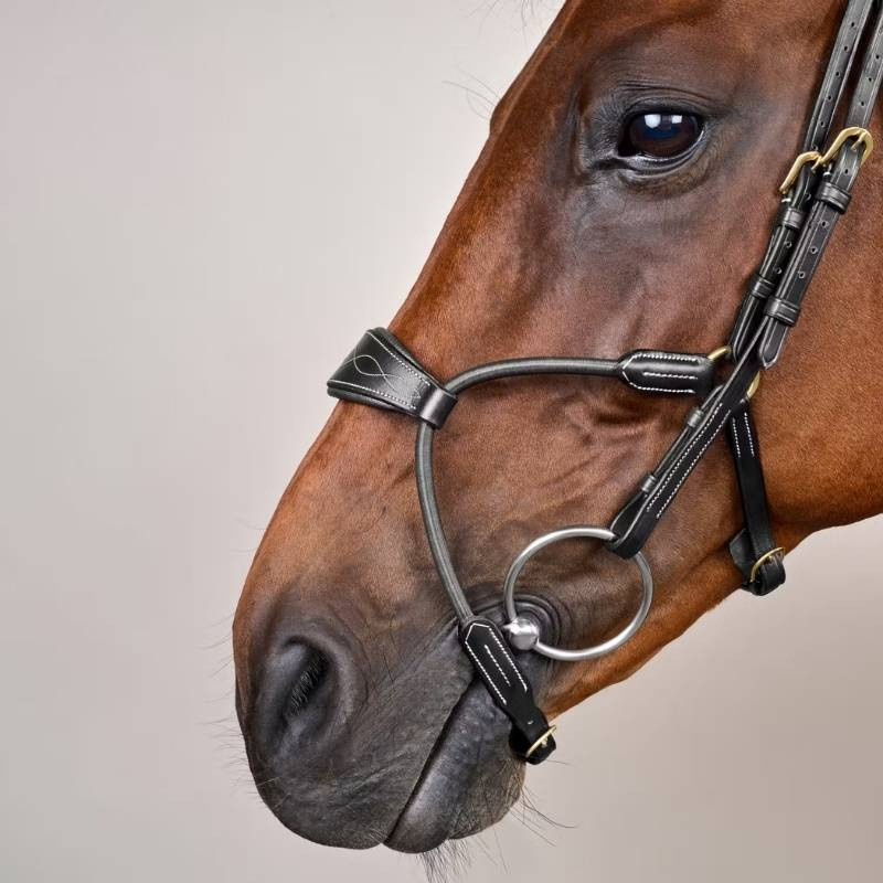 Bridle Elastic Hybrid Dyon Collection Black