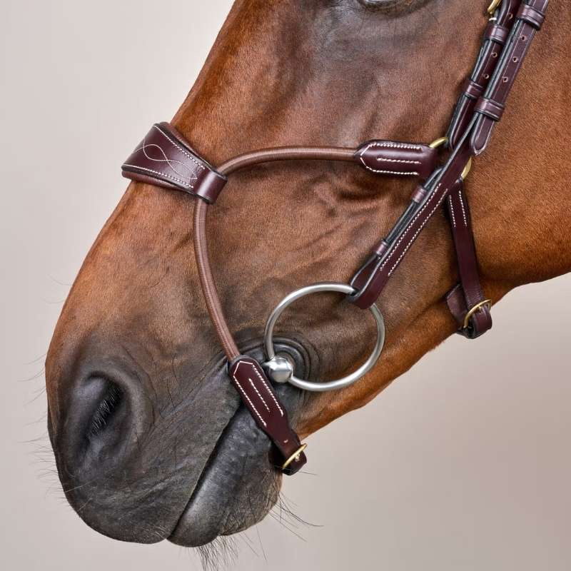 Bridle Elastic Hybrid Dyon Collection Brown