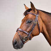 Anatomical Combination Bridle DC Brown Anatomical Combination Bridle DC Brown