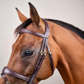 Anatomical Combination Bridle DC Brown Anatomical Combination Bridle DC Brown