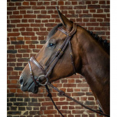 Anatomical Combination Bridle DC Brown