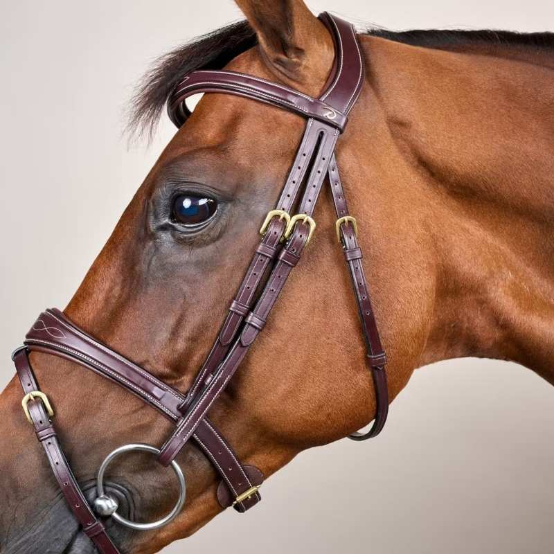 Anatomical Combination Bridle DC Brown