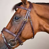 Anatomical Combination Bridle DC Brown Anatomical Combination Bridle DC Brown