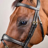 Anatomical Combination Bridle DC Black Anatomical Combination Bridle DC Black