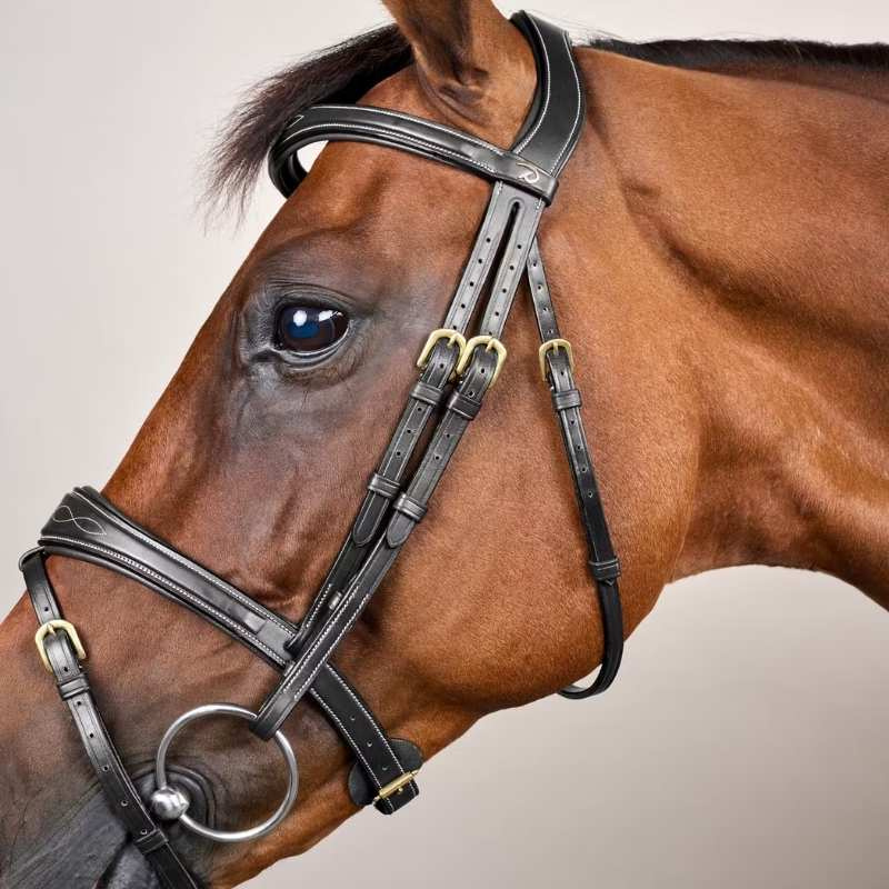 Anatomical Combination Bridle DC Black