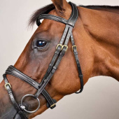 Anatomical Combination Bridle DC Black Anatomical Combination Bridle DC Black