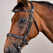 Flash Noseband Bridle Plaited Dyon Collection Black Flash Noseband Bridle Plaited Dyon Collection Black