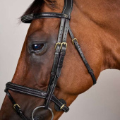 Flash Noseband Bridle Plaited Dyon Collection Black Flash Noseband Bridle Plaited Dyon Collection Black