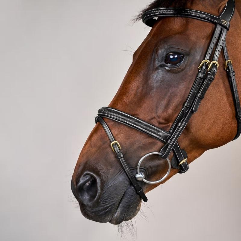 Flash Noseband Bridle Plaited Dyon Collection Black