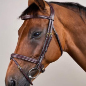 Flash Noseband Bridle Plaited Dyon Collection Brown Flash Noseband Bridle Plaited Dyon Collection Brown