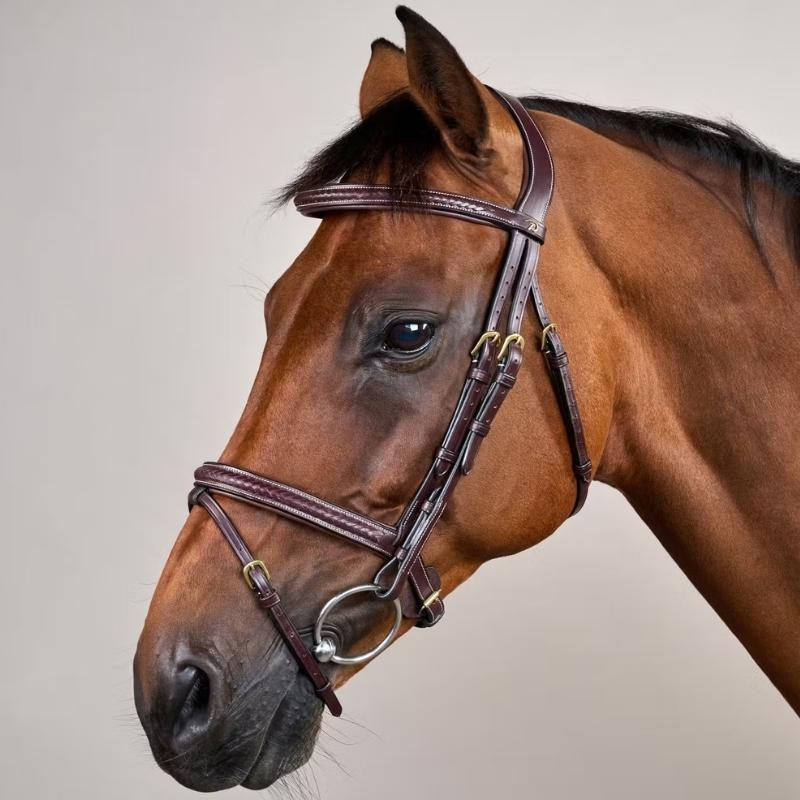 Flash Noseband Bridle Plaited Dyon Collection Brown