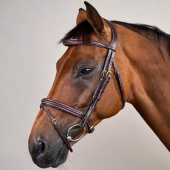 Flash Noseband Bridle Plaited Dyon Collection Brown Flash Noseband Bridle Plaited Dyon Collection Brown
