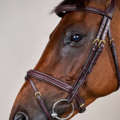 Flash Noseband Bridle Plaited Dyon Collection Brown Flash Noseband Bridle Plaited Dyon Collection Brown