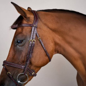 Flash Noseband Bridle Plaited Dyon Collection Brown Flash Noseband Bridle Plaited Dyon Collection Brown