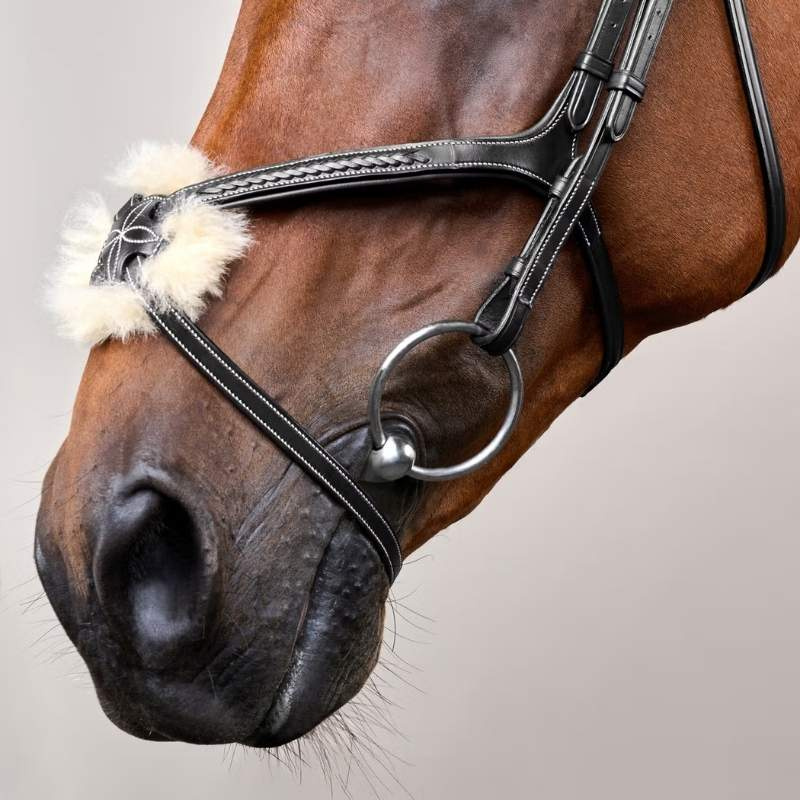 Figure 8 Noseband Bridle Plaited Dyon Collection Black