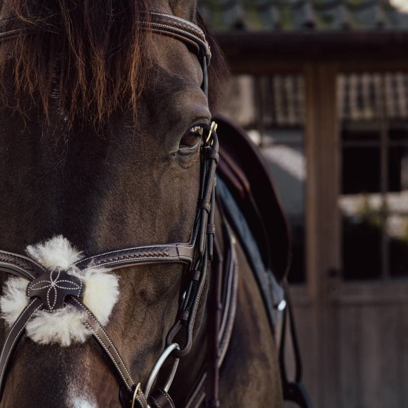 Figure 8 Noseband Bridle Plaited Dyon Collection Brown