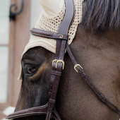 Figure 8 Noseband Bridle Plaited Dyon Collection Brown Figure 8 Noseband Bridle Plaited Dyon Collection Brown
